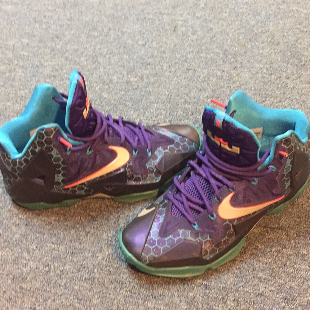🚨Lebron James 11s Charlotte hornet basketball 👟